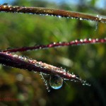 prairie reflections, Iowa. Aug 2012
